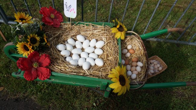 Foire 1er Mai 2018 (28)