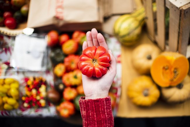 close-up-person-holding-up-small-pumpkin