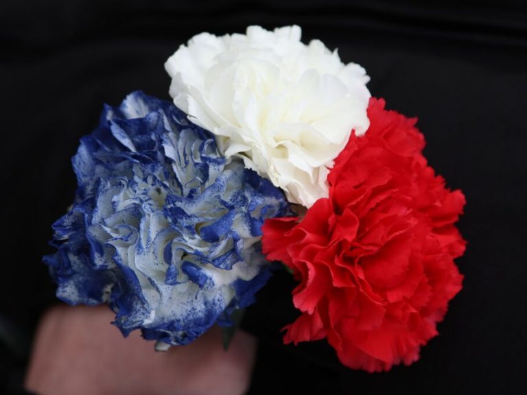 Oeillets-commemoration-condesurvire-970×675